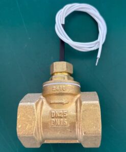 فلو سوییچ برنجی آب 1 اینچ پدلی