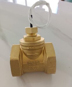 فلو سوییچ برنجی 2 اینچ پدلی