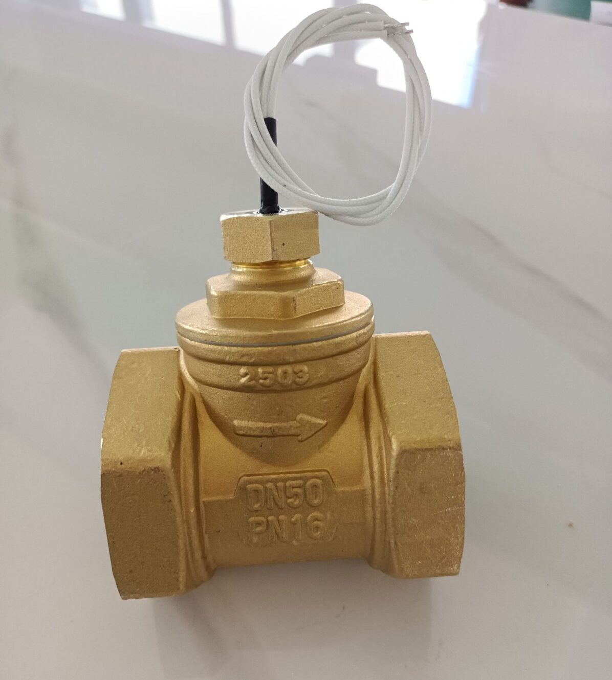 فلو سوییچ برنجی 2 اینچ پدلی فلو سوییچ برنجی 2 اینچ پدلی